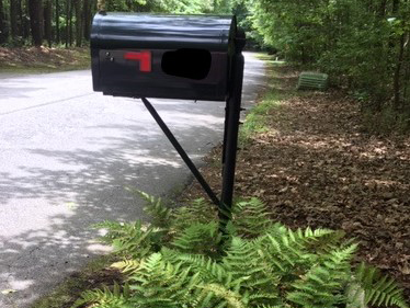Mailbox Surprises!